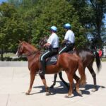 f-h-f-18-sep-2010-1-0354