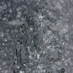 freedom-honor-flight-12-may-2012_1499_edited-2