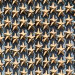 freedom-honor-flight-8-may-2-041