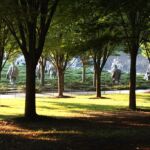 washington-d-c-2010-0474