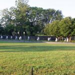 washington-d-c-2010-0487